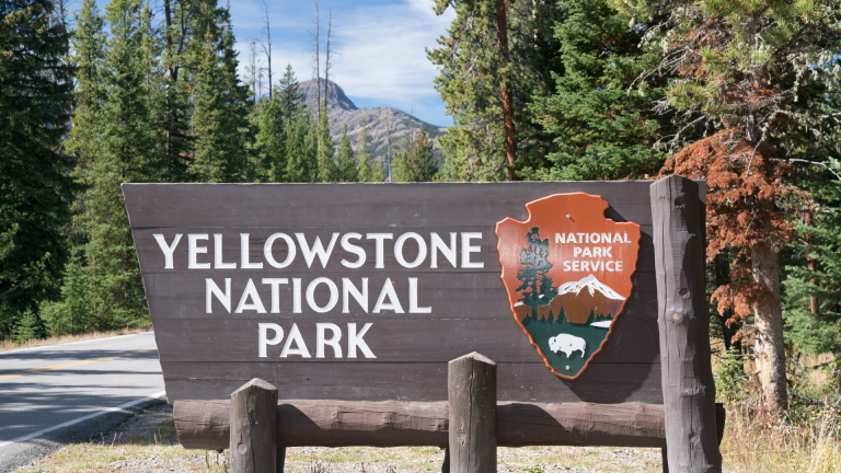 Yellowstone Cheers: Raising a Glass to Local Alcohol