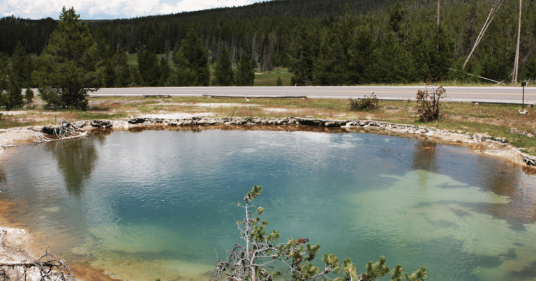 The Mesmerizing Beauty of Fountain Paint Pot in Yellowstone National Park