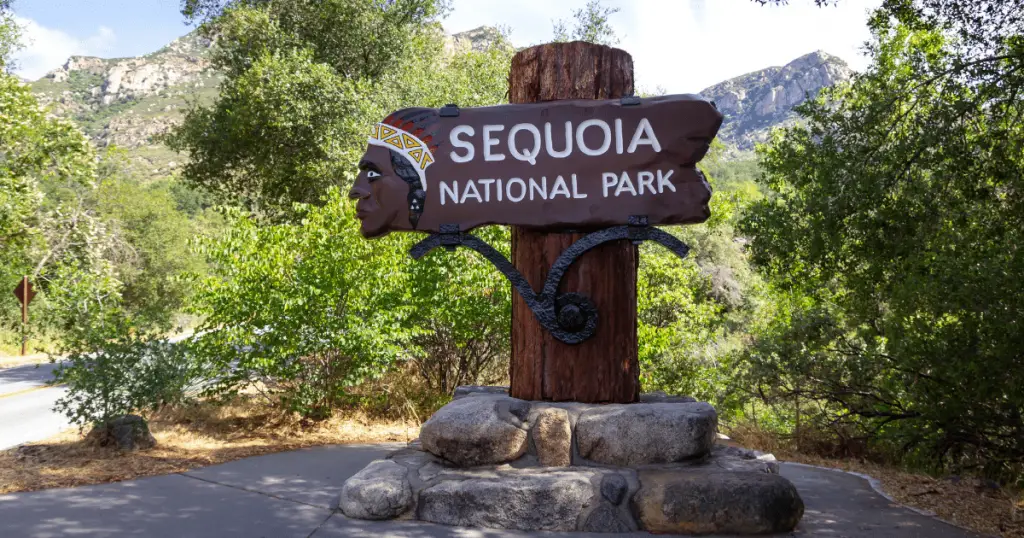 one day in sequoia national park