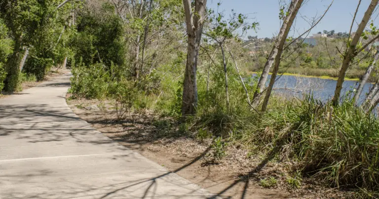 Exploring the Beauty of San Diego River Trail