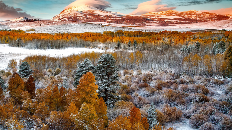 Weather in yosemite in january