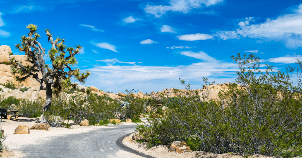 what county is joshua tree national park in