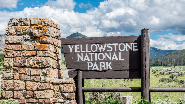 Yellowstone Marathon 2023 Unleashed: Runner’s Dream