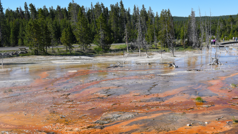 Yellowstone Mud Pots: A Unique Geological Phenomenon