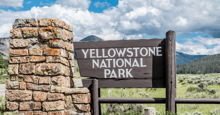 A Guide to Exploring Yellowstone in March