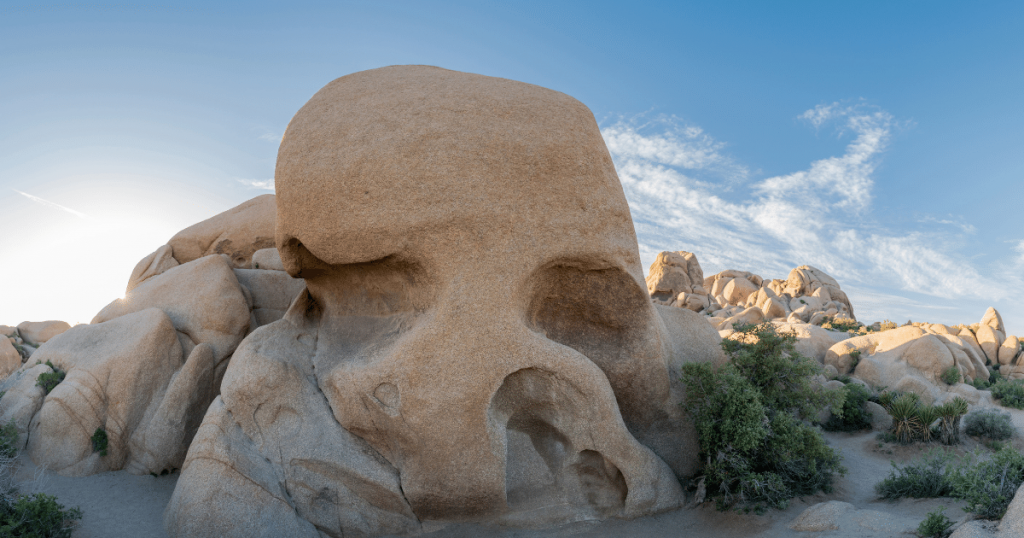 can you visit joshua tree in one day 