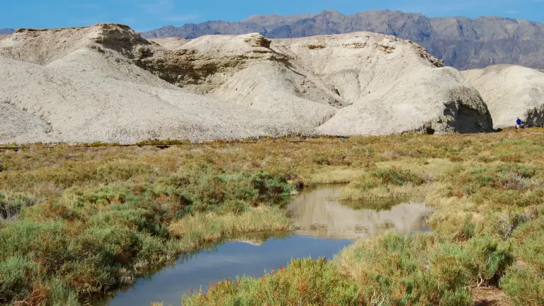 Salt Creek in Death Valley: A Symphony of Desert Beauty