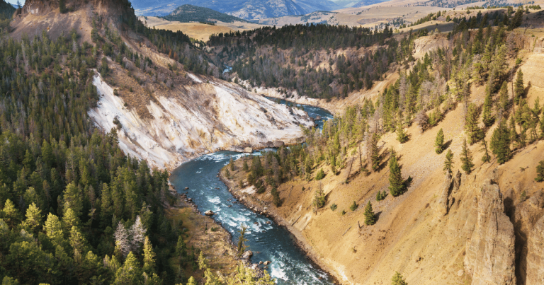 A Guide to Gardner Canyon Yellowstone: Everything You Need to Know