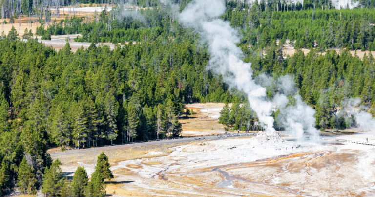 A Guide to Grotto Geyser: Discovering One of Yellowstone’s Hidden Wonders