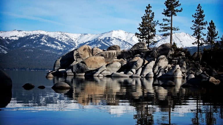 Discover the fascinating world of Fish types in Lake Tahoe