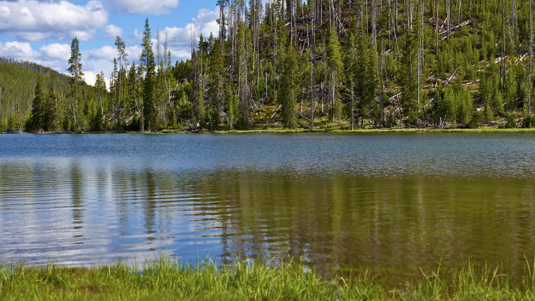 Everything You Need to Know About Lake Village Yellowstone