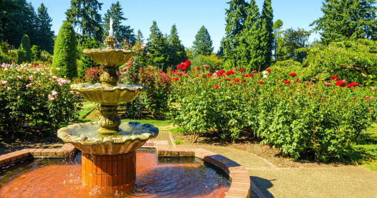 Paradise in Bloom: Discovering the Rose Garden Mountain