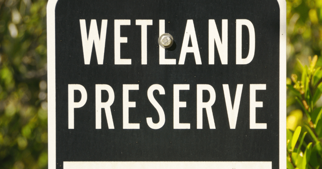 sedona wetlands preserve photos