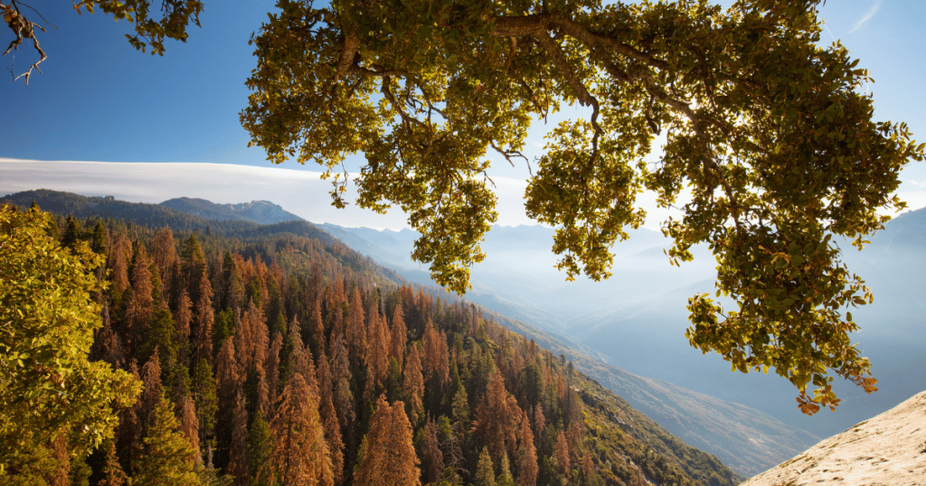 sequoia national park monthly weather