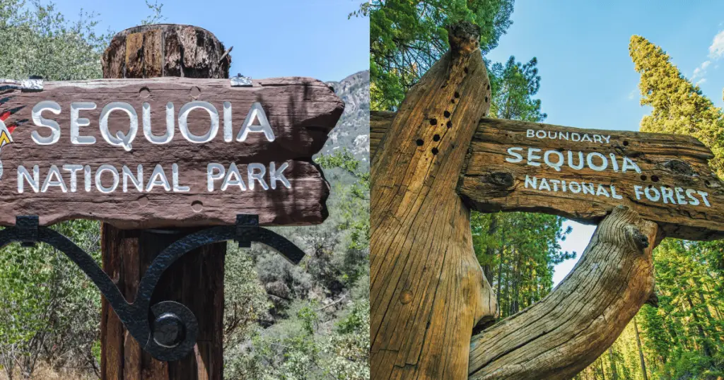 sequoia national park vs sequoia national forest