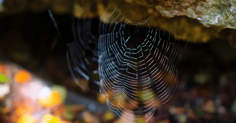 Exploring the Wonders of Spider Caves in Yosemite