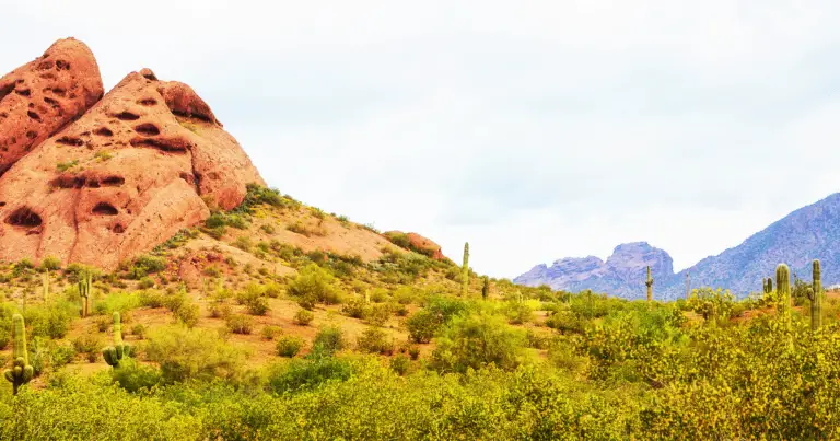 Discovering Things to Do for Free in Phoenix: A Guide to Budget-Friendly Activities