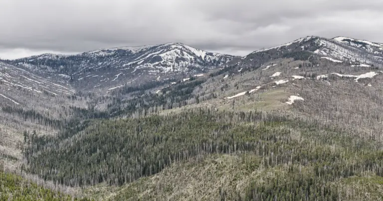 Dunraven Pass, Yellowstone: A Journey Through High Mountain Beauty