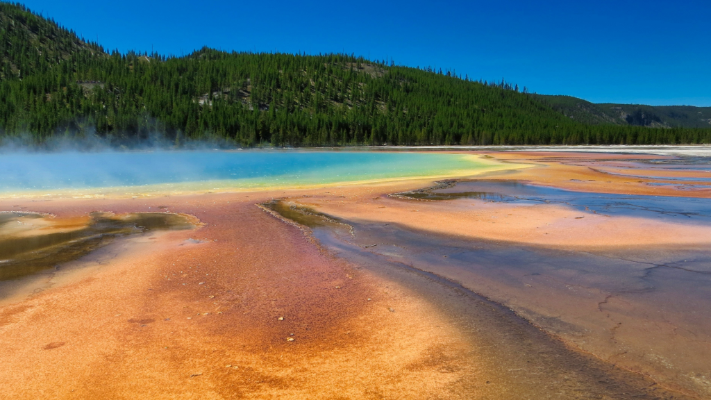 yellowstone national park in spring